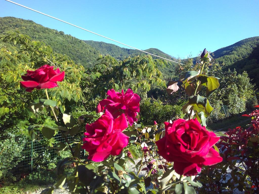 Cà Sonino Bettola (Emilia-Romagna)
